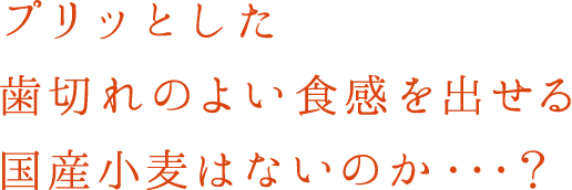 プリッとした歯切れのよい食感を出せる国産小麦はないのか・・・？