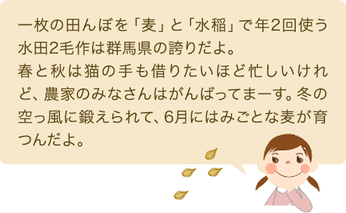 一枚の田んぼを「麦」と「水稲」で年2回使う水田2毛作は群馬県の誇りだよ。春と秋は猫の手も借りたいほど忙しいけれど、農家のみなさんはがんばってまーす。冬の空っ風に鍛えられて、6月にはみごとな麦が育つんだよ。
