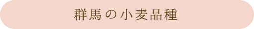 群馬の小麦品種