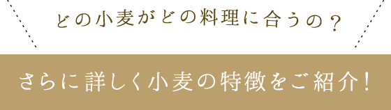 ぷらす1知識　さらに詳しく小麦の特徴をご紹介！