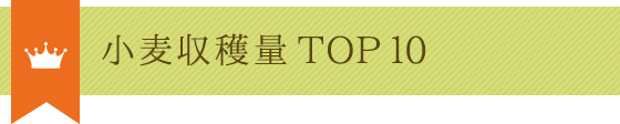 小麦収穫量TOP10