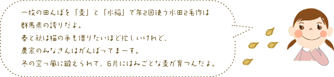 一枚の田んぼを「麦」と「水稲」で年2回使う水田2毛作は群馬県の誇りだよ。春と秋は猫の手も借りたいほど忙しいけれど、農家のみなさんはがんばってまーす。冬の空っ風に鍛えられて、6月にはみごとな麦が育つんだよ。